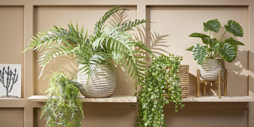 Mica Decorations Ficus Kunst Hangplant - H81 cm - Groen