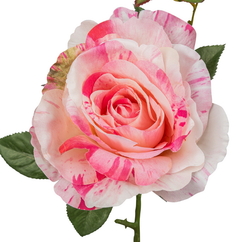 Flourify kunstbloem - Roos - 72 cm - bundel van 5 - vtwonen shop