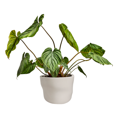 elho mura 40 linen white | Bloempot | Premium statementdesign