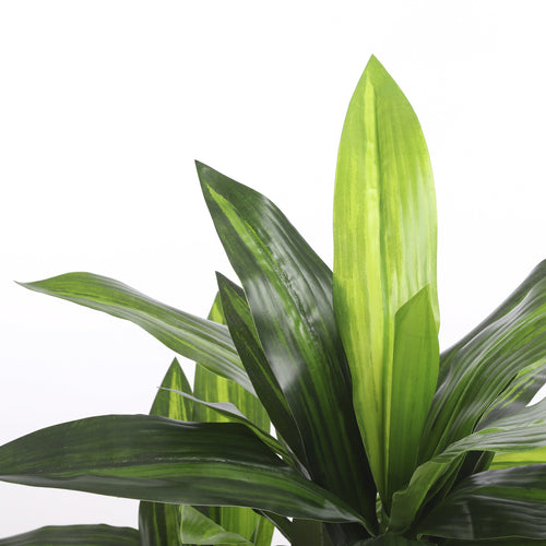 Mica Decorations Dracaena Kunstplant - H110 x Ø60 cm - vtwonen shop