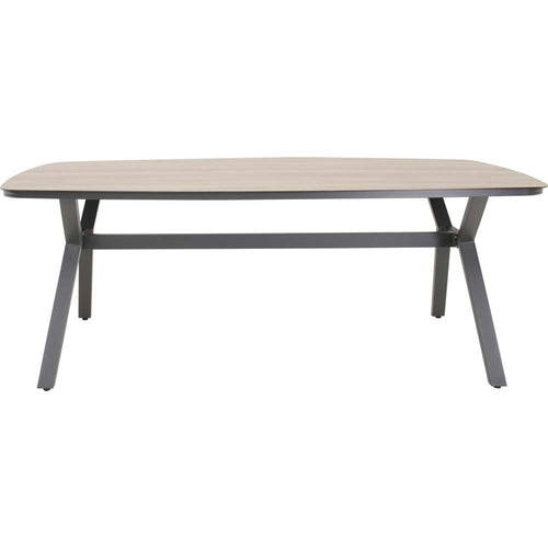 Lesli Living tuintafel Odense - grijs - 200x100cm
