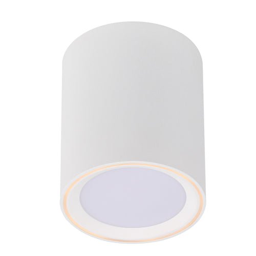 Nordlux Fallon Spotlamp L - Ø10cm - LED Stepdim - 2700K - Wit