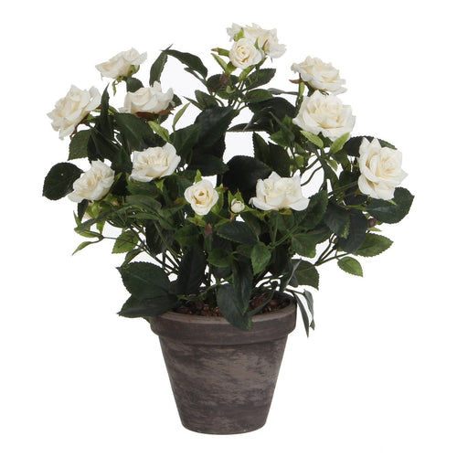 Mica Decorations Rozenstruik Kunstplant in Bloempot Stan - H33 x Ø25 cm - Wit
