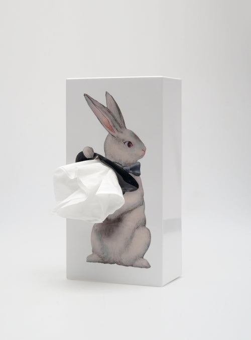 Spextrum Tissue Up Rabbit - tissuehouder - wit