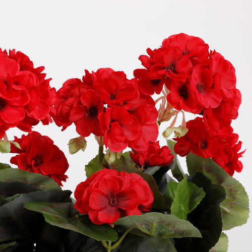 Mica Decorations Geranium Kunstplant in Balkonbak - L29 x B13 x H40 cm - Rood - vtwonen shop