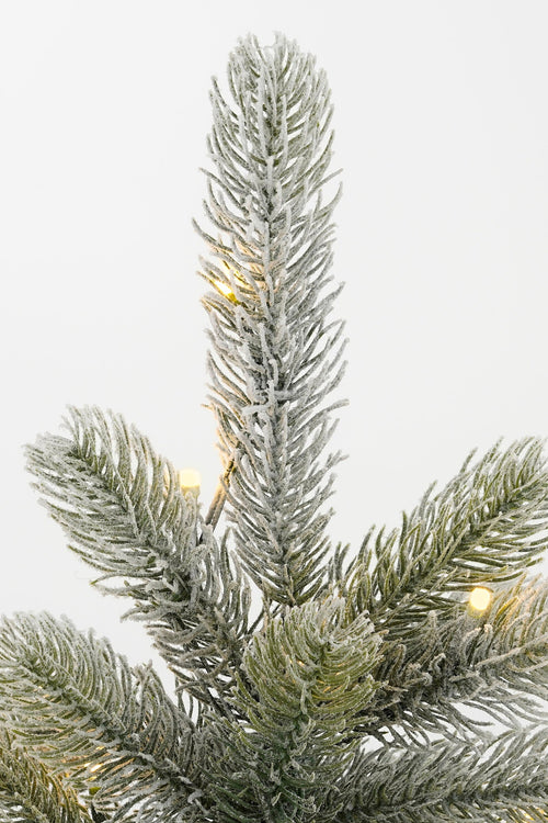 Black Box Trees Nagoya Kerstboom met Verlichting in Jute Zak - Groen Frosted - op Batterij en met Timerfunctie - h60xd44cm