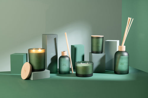 J-Line geurstokjes Accords Essentiels - bois givré - groen - 550 ml