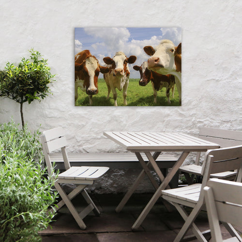 Art for the Home Buitencanvas - Nieuwsgierige Koeien - 50x70cm