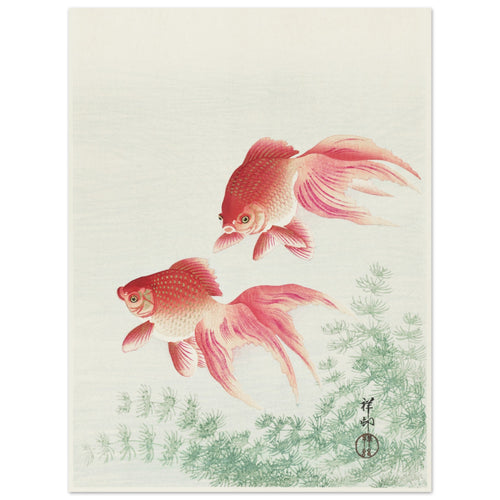 Ohara Koson - Two veil goldfish   poster 30x40 cm - vtwonen shop