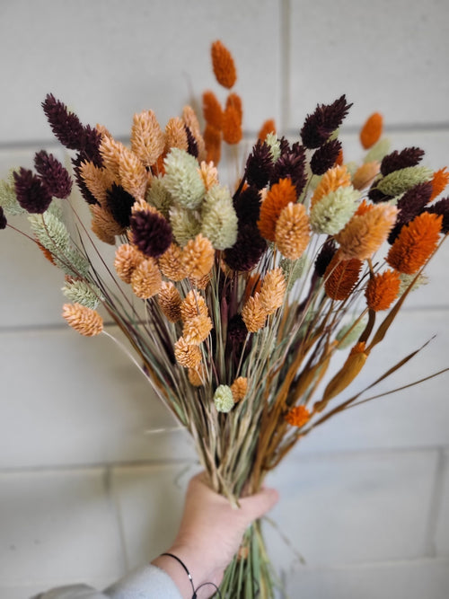 My Flowers.shop Aardetinten boeket Kanariegras | Terracotta Phalaris boeket droogbloemen | Lengte ± 65 cm | Per boeket - vtwonen shop