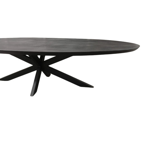 StarFurn Eettafel Brandy - Ovaal Zwart Mangohout - 240x110x76cm