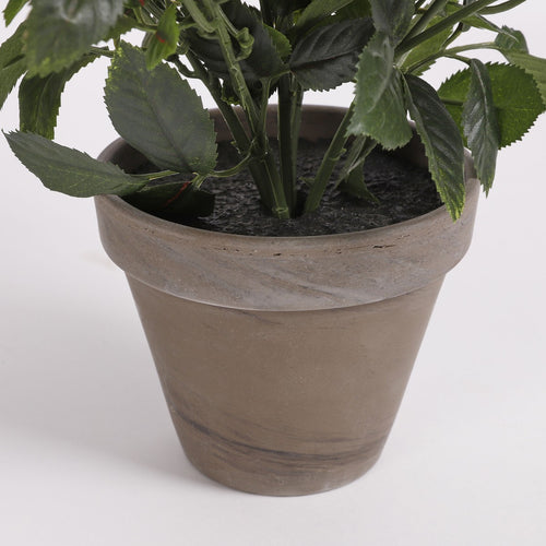 Mica Decorations Rozenstruik Kunstplant in Bloempot Stan - H33 x Ø25 cm - Wit