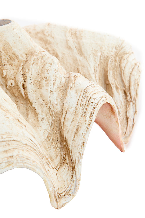 Light & Living ornament SHELL - 41x25x17cm - bruin - vtwonen shop