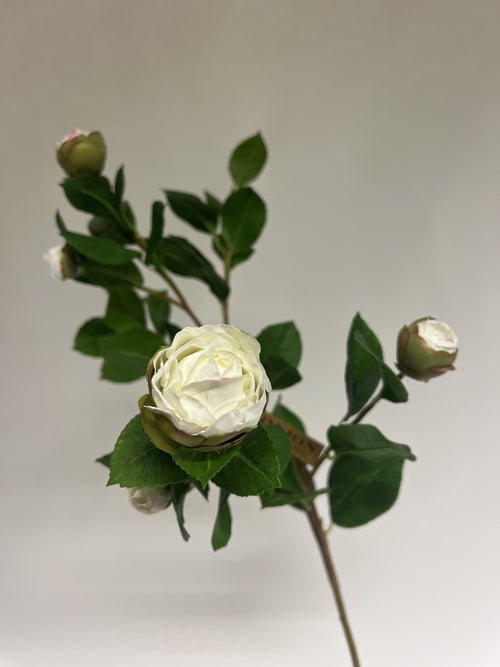 My Flowers.shop Witte camelia in knop zijden bloem | Lengte 70 centimeter | Per stuk - vtwonen shop