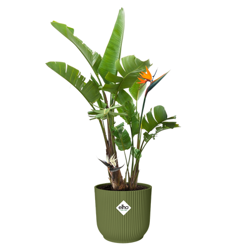 elho vibes fold rond 47 varengroen | Bloempot | Modern decoratief ribpatroon