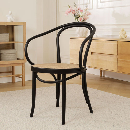 Fameg Venice No. 9 Eetkamerstoel Zwart - Armleuning - Rotan Zitting - vtwonen shop