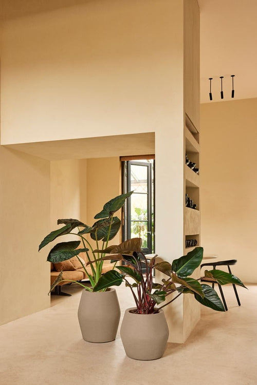 elho june split high 46 balanced beige | Bloempot |Premium statementdesign