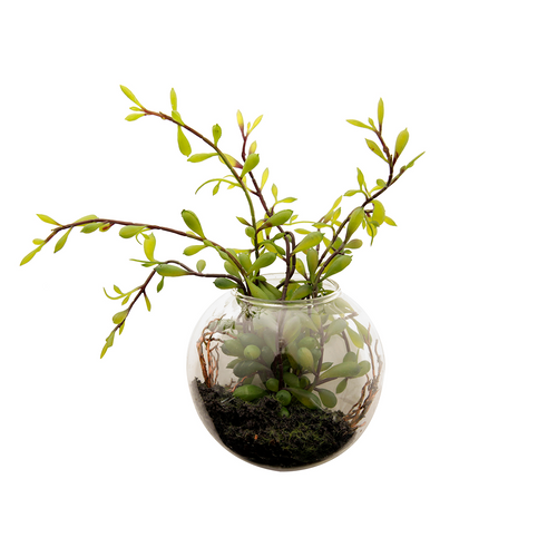 Sia Deco Terrarium Met Sedum - Groen - H10 - vtwonen shop