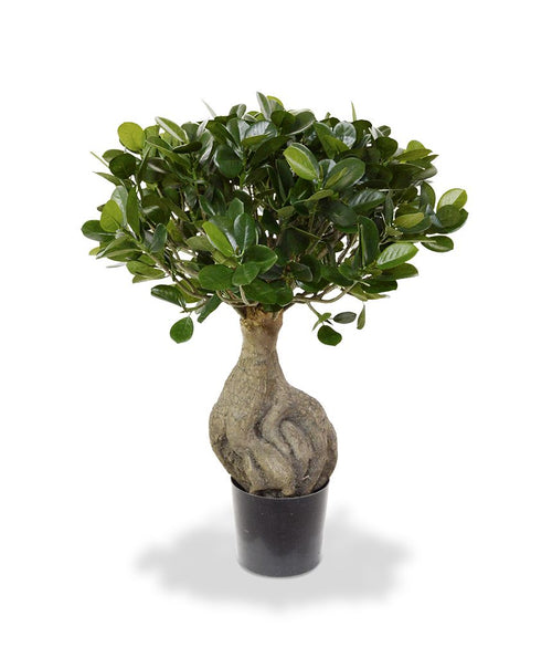 Maxifleur Panda Bonsai kunstboom 55cm