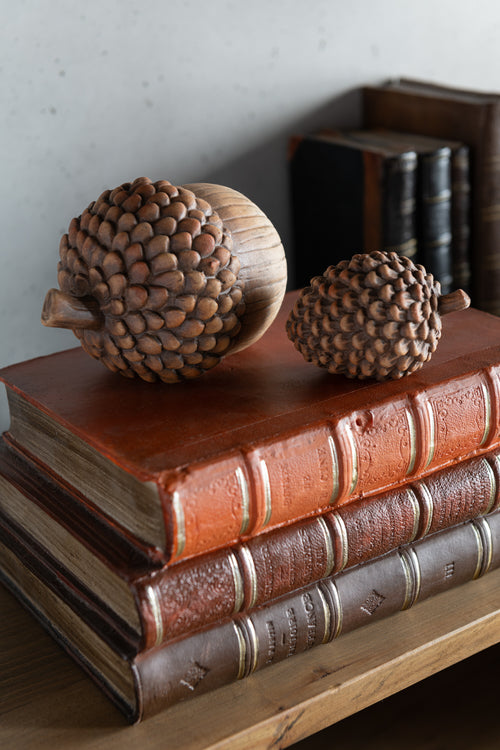 J-Line decoratie Eikel + Denappel - porselein - bruin - 2 stuks