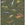Sanders & Sanders behang dinosaurussen donkergroen - 50 x 900 cm - 935369