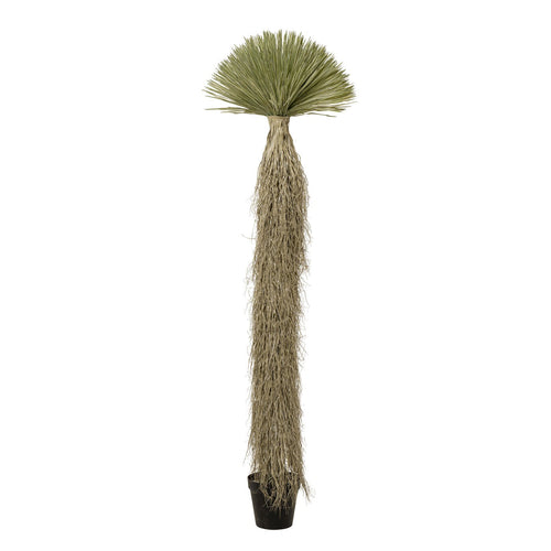 Kare Design Kunstplanten - Yucca - 240cm - vtwonen shop