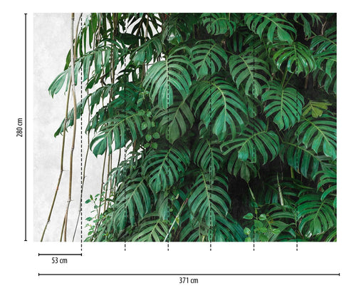 One Wall one Role fotobehang jungle-motief groen en grijs - 371 x 280 cm - AS-382411 - vtwonen shop