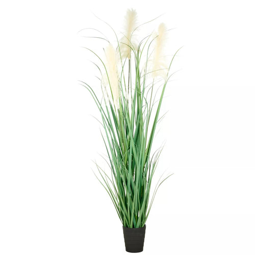 Flourify kunstplant - Pampasgras - 180 cm