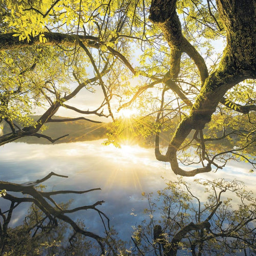 Sanders & Sanders fotobehang landschap met water groen en blauw - 400 x 250 cm - 612512