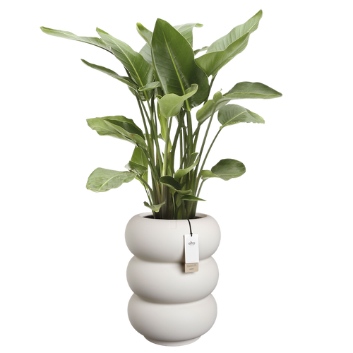 elho amber roll high 43 linnen wit | Bloempot |Premium statementdesign
