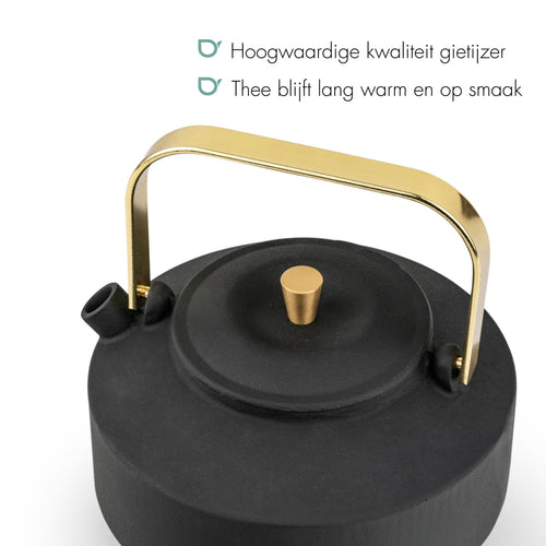 Bredemeijer - Theepot Shangdong 1,0L gietijzer zwart