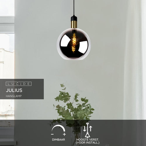 Lucide hanglamp JULIUS - 1xE27 - Fumé - vtwonen shop