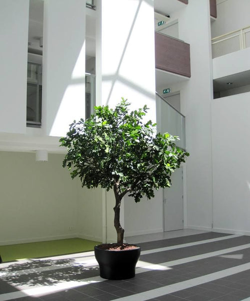 Maxifleur Eikenboom Giant deluxe kunstboom 300cm - FR - brandvertragend