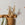 Little Dutch vliesbehang kinderkamer Blueberry Leaves 10mx52cm