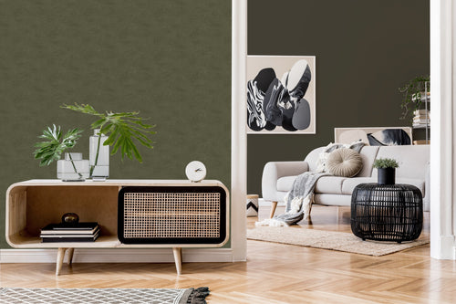 LOOKS by Wolfgang Joop Muurverf mat Blattgr�n 2,5L - vtwonen shop