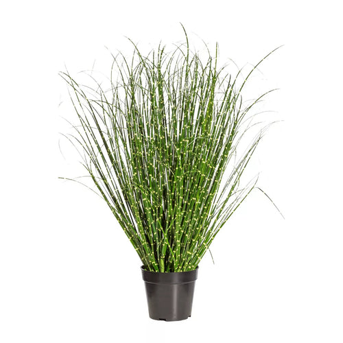 Flourify - Kunstgras - Miscanthus Zebrinus - 80 cm - vtwonen shop