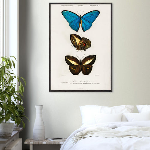 Artfulprints Poster Charles Dessalines d'Orbigny - Different types of butterfly   - A4 21x29.7 cm - Meerkleurig