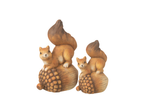 J-Line decoratie Eekhoorn op eikel - porselein - bruin- large - vtwonen shop