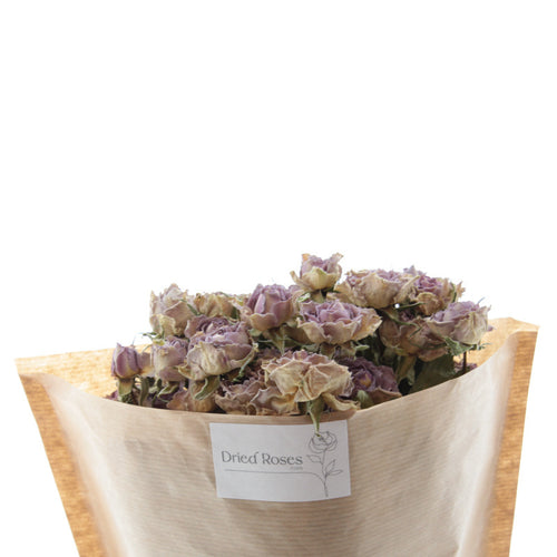 My Flowers.shop Tien gedroogde lavendel-grijze trosrozen | Lengte 50 centimeter | Per bos te bestellen - vtwonen shop