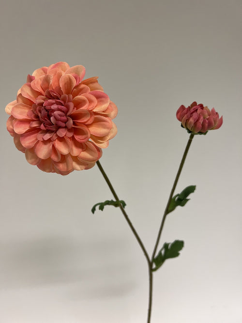 My Flowers.shop Roze dahlia zijden bloem | Lengte  63 centimeter | Per stuk - vtwonen shop