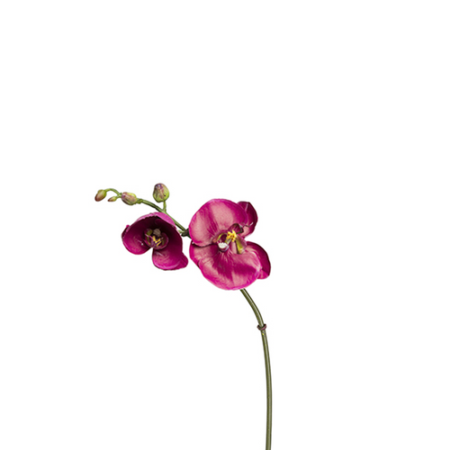 Sia Deco Orchidee Phalaenopsis Steel Kunstmatig - fuchsia - H26 - vtwonen shop