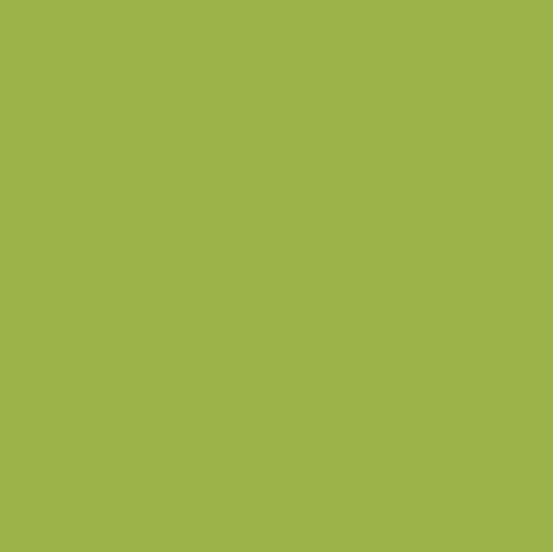 Graham & Brown Matcha Tea - Testerpot - Matte Muurverf - 100ml