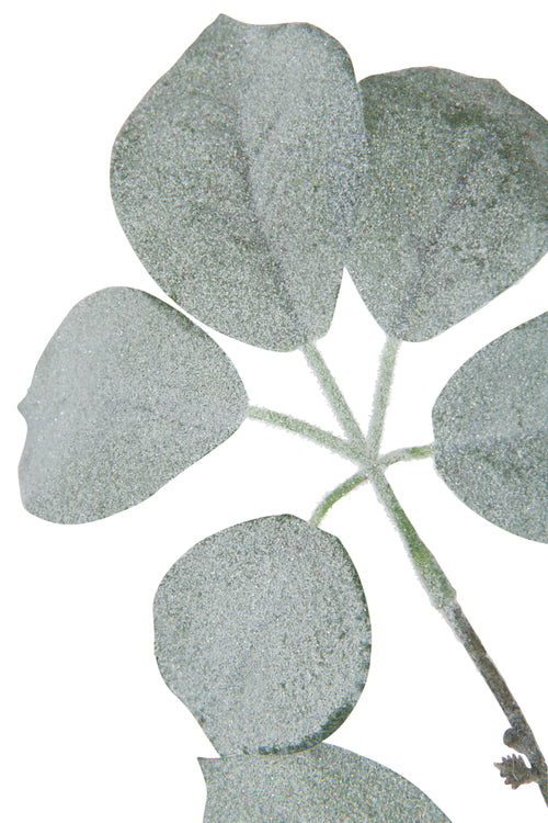 J-Line decoratie Tak Schefflera Gevlokt - kunststof - groen - 6 stuks - vtwonen shop