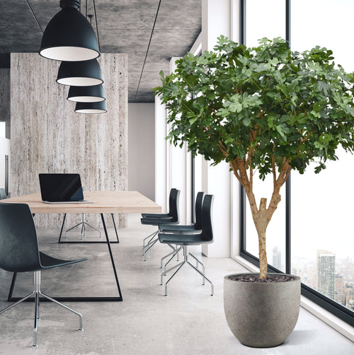 Maxifleur Vijgen Kunstboom Deluxe 250cm N