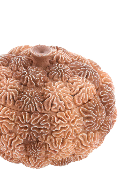 Light & Living opbergmand Coral - bruin - 20x20x15.5 cm