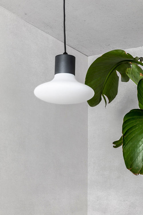 Faro Blubs Buitenplafondlamp donkergrijs 1x E27 IP44