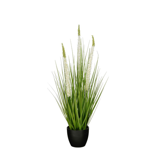 Mica Decorations Eremurus – Kunstgras in Pot – Realistische Nepplant Woondecoratie – Kunstplanten voor Binnen en Buiten – H80 x Ø25 cm – Groen, Wit
