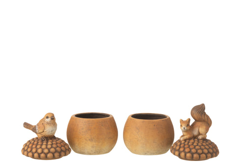 J-Line figuur Vogel + Eekhoorn op eikel - porselein - bruin - small - 2 stuks - vtwonen shop