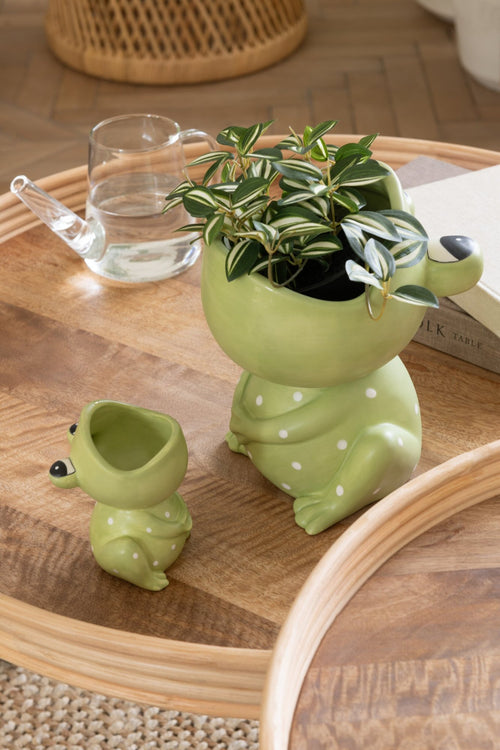 J-Line plant Tradescantia in pot - kunststof - groen/wit