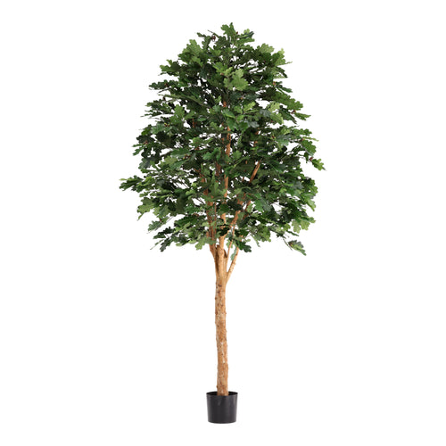 Maxifleur Kunst Eikenboom Deluxe 250cm